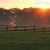 Gallery | Blue Star Event Center